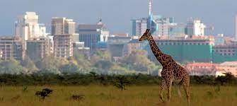alt="Nairobi National Park"